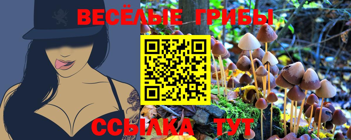 Феодосия  Галлюциногенные грибы Magic Shrooms  где купить   Вход с VPN  Псилоцибиновые грибы Psilocybe 